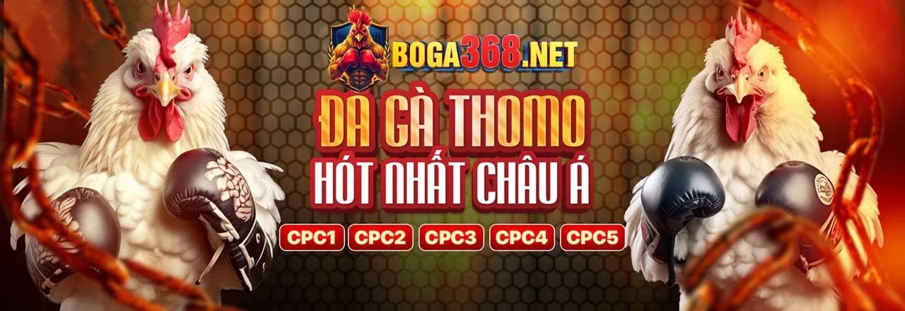 Chương trình Đối tác tf88 no1