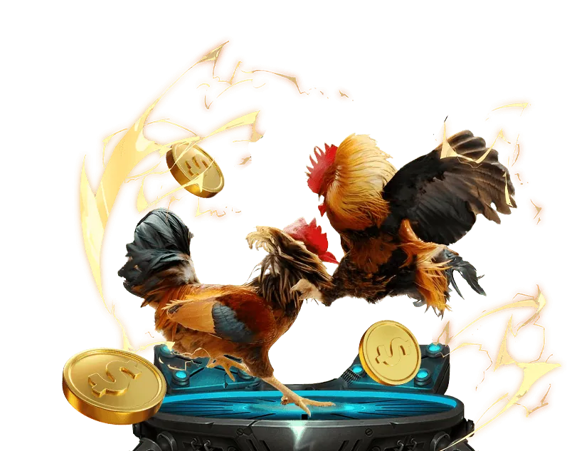 Cá cược Thể Thao TF88 NO1